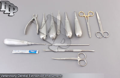 Kit Di Strumenti Di Estrazione Dentale Veterinaria Italia - Foto 9