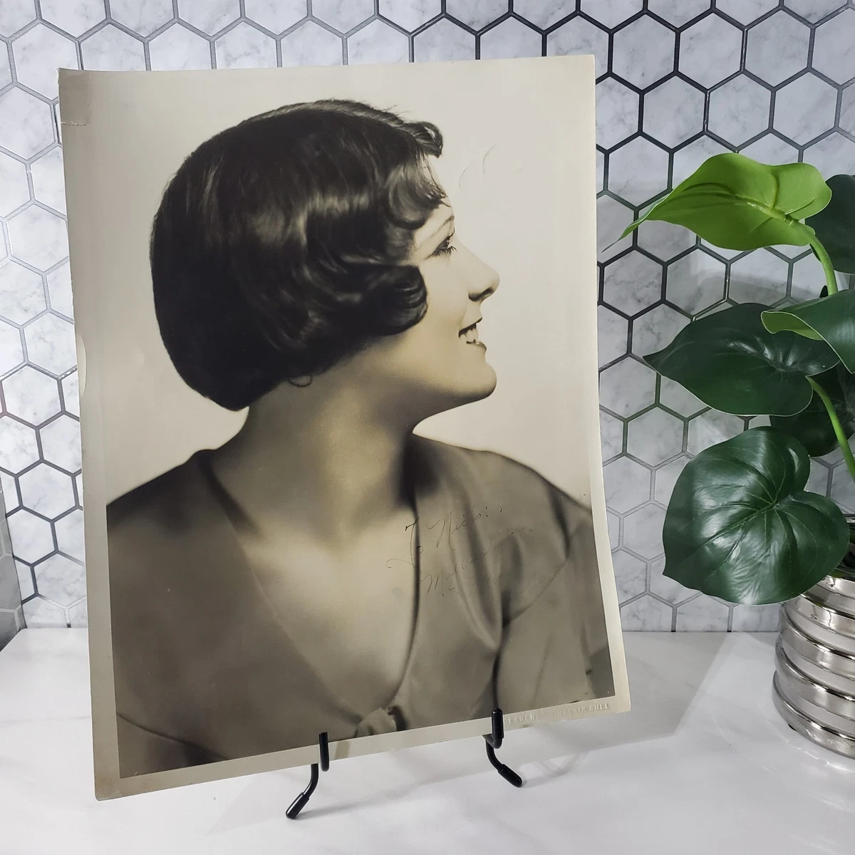 clarence sinclair bull products for sale | eBay