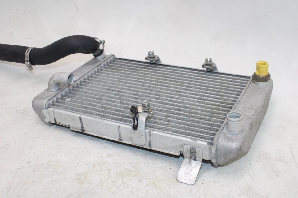 03-06 SUZUKI BURGMAN AN400S OEM MOTOR RADIADOR MOTOR ENFRIADOR RADIADOR DE REFRIGERACIÓN Foto 3 de 4