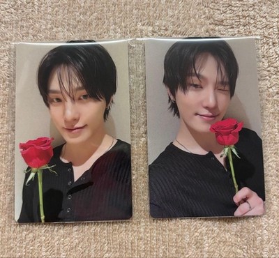 SEVENTEEN Dino Pichorine Photocard 2-Piece Set Gilboard USB Ver Weverse