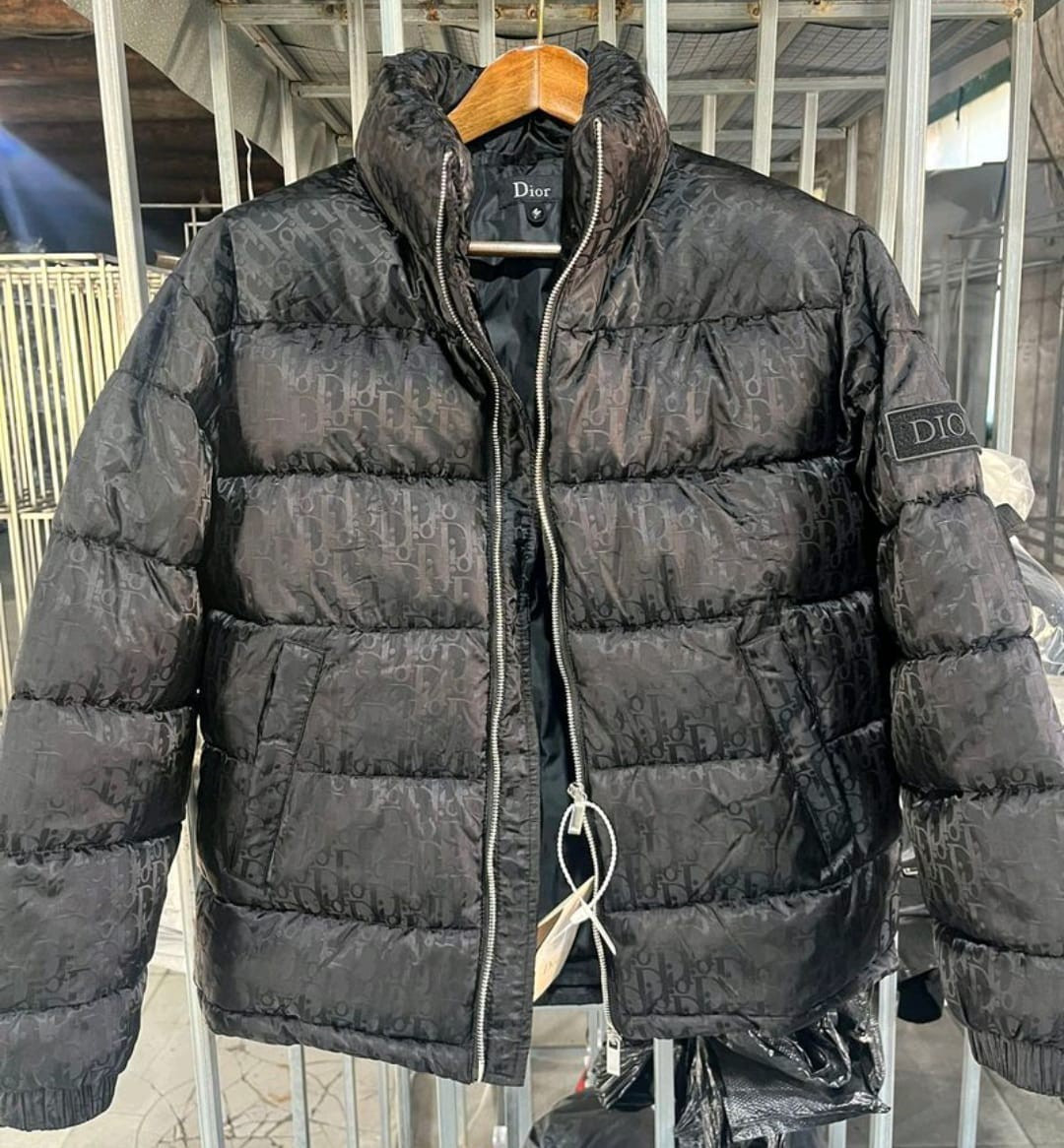 Dior Oblique Down Jacket | eBay