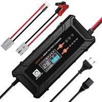 12V/24V 5-20A Auto Batterie LadegeräT Eco-WorthyfüR Lifepo4 Blei-SäUre Motorra