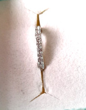 Schluppe für Anhänger 1,5 cm  rhodiniert  Kristallsteine Pierre Lang