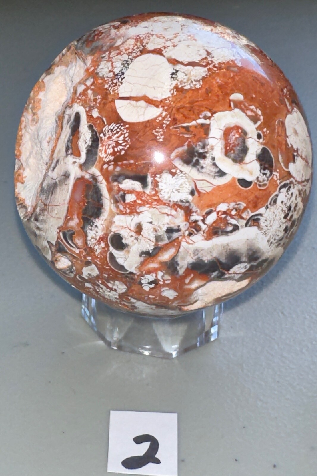 Picture 7 of 22