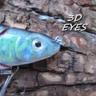 Foto 10 di 21