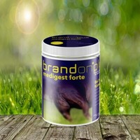 Brandon Plus Medigest Forte 1 Kg