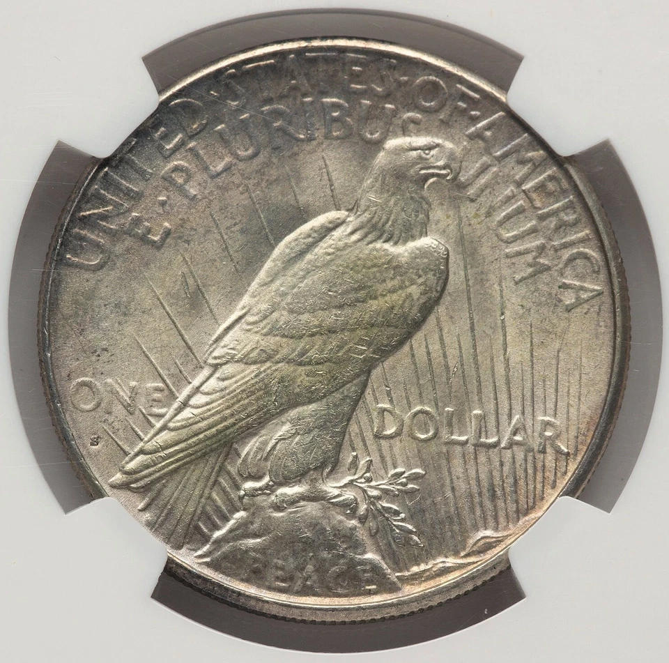 1928 S Peace Dollar MS 62 NGC - Image 4 of 4