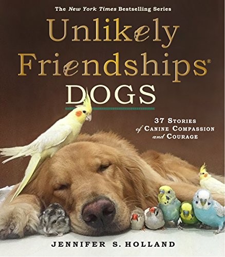 Unlikely Friendships: DOGS,S. Holland