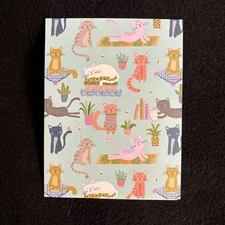 LIQUIDATING-Leanin’ Tree Any Occasion Blank Greeting Note Card (Cats)