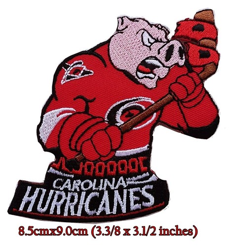 Carolina🏒Hurricanes Hockey Sport Patches (Select options)✈Thai by USPS agent - Picture 12 of 15