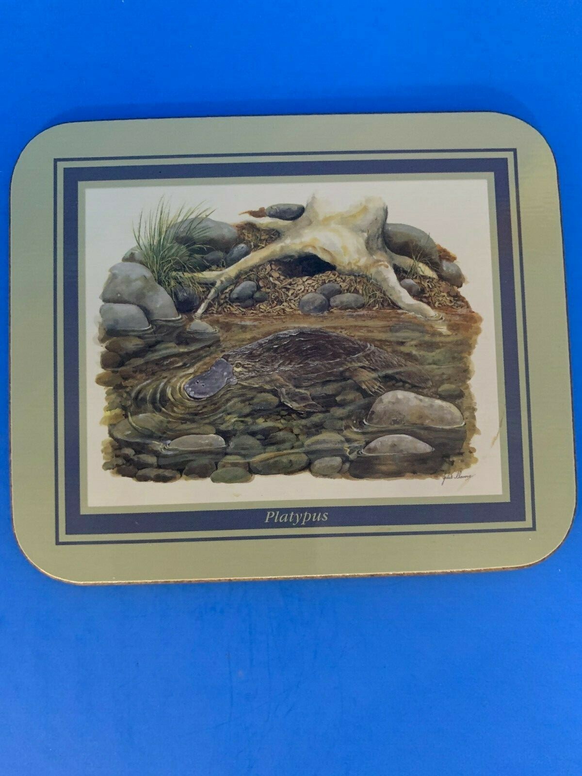 Jason Coasters New Zealand Native Australia Animals Set of Five