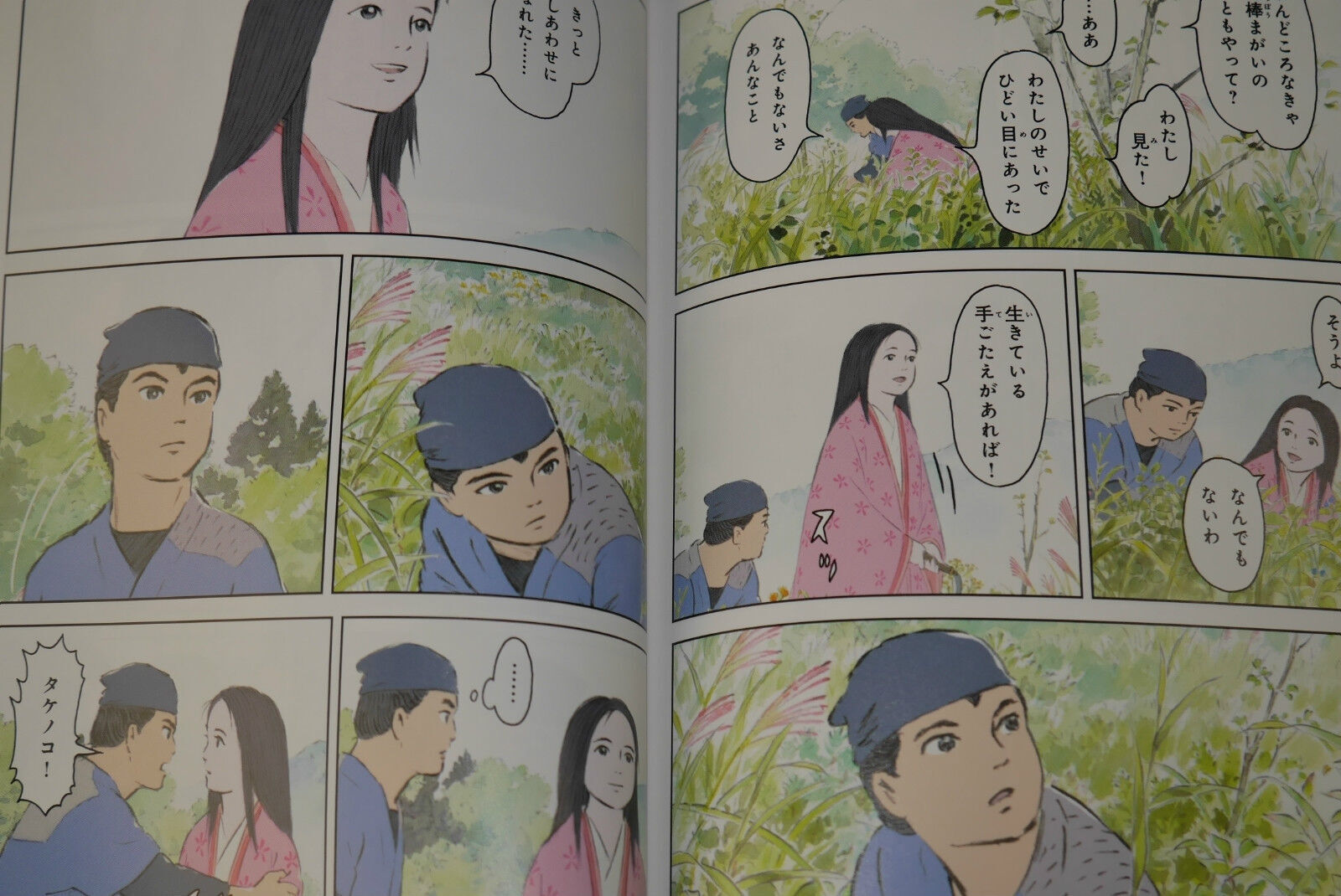 JAPAN Tale of Princess Kaguya /Kaguya-hime no Monogatari Film Comic