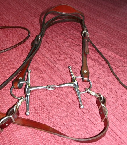 Western Bridle Weaver Headstall.
