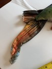 Mahi-Mahi 48” GIANT Stuffed Toy Plush Pillow TreeHouse Kid Large Jumbo Fish — photo 6