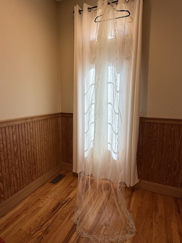 Hayley Paige Long Train Wedding Veil Embroidered Good Condition