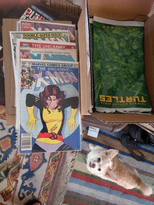 20 Comic Book Loaded Bundle Box Signed,Vintage,Ratios,Marvel,DC,Indy Let's GO!!!