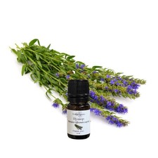 Hyssop Essential Oil, Organic, Pure, Natural
