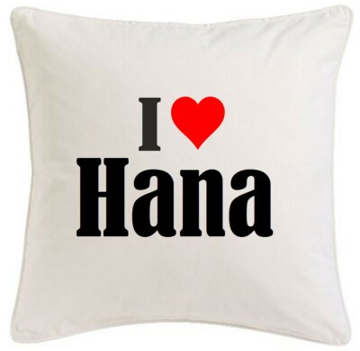 KISSENBEZUG I LOVE HANA 40CMX40CM AUS MIKROFASER