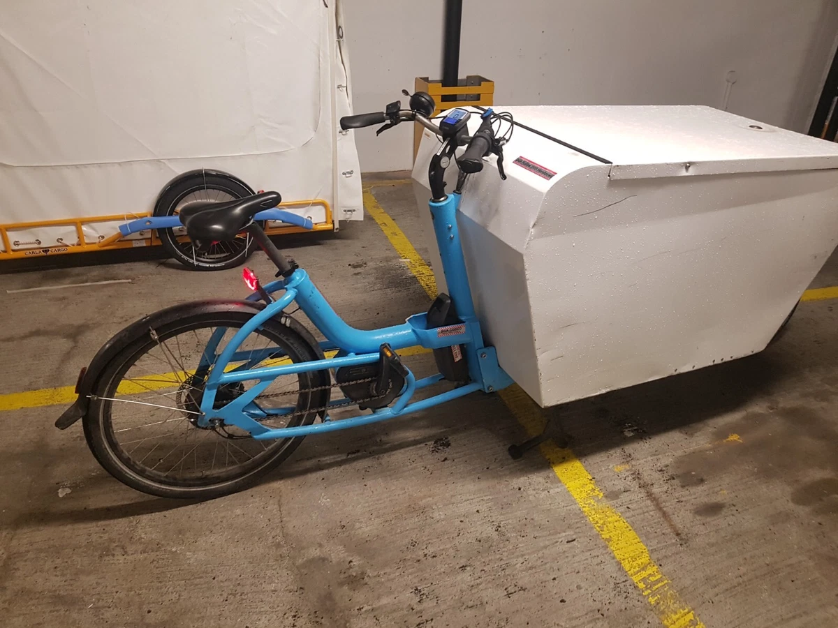 Rino e bike sale