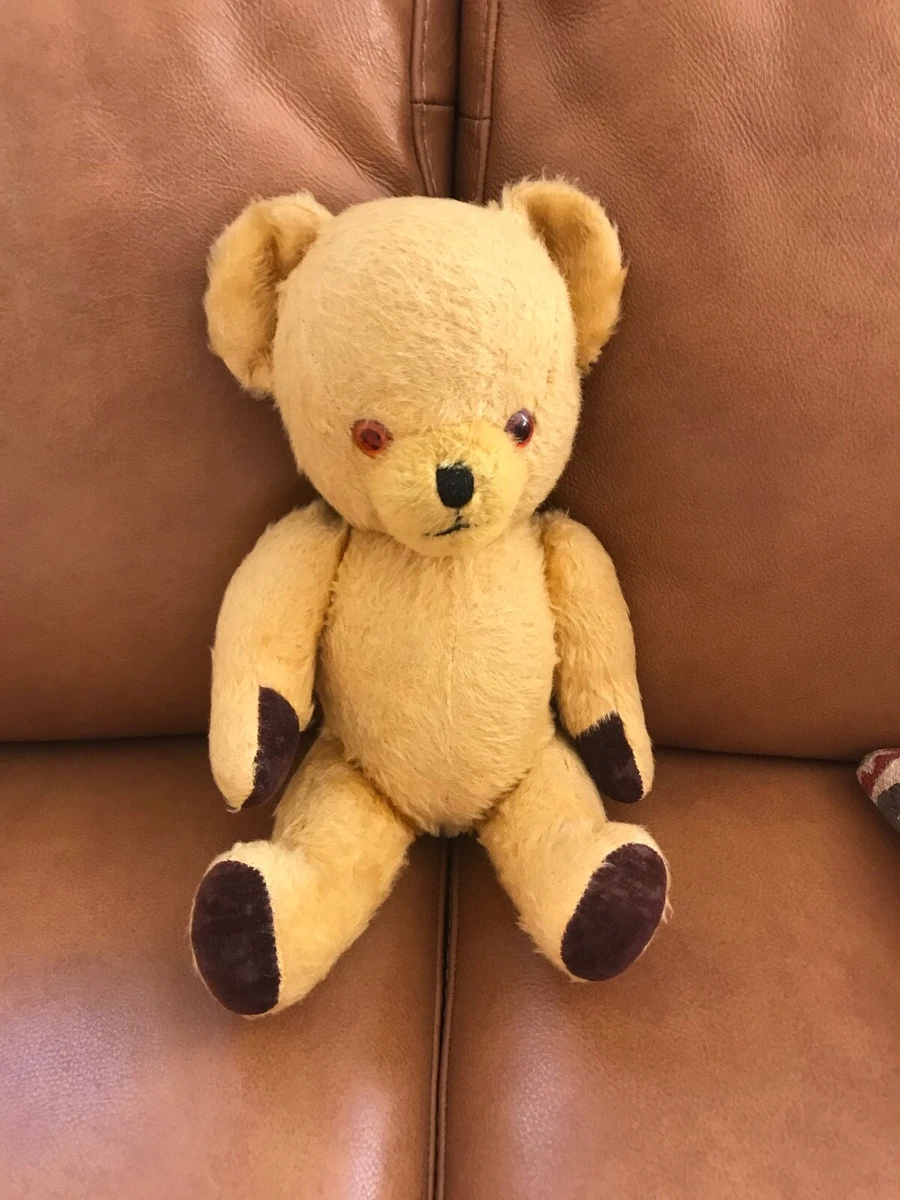 Beautiful cute teddy 2025 bear images