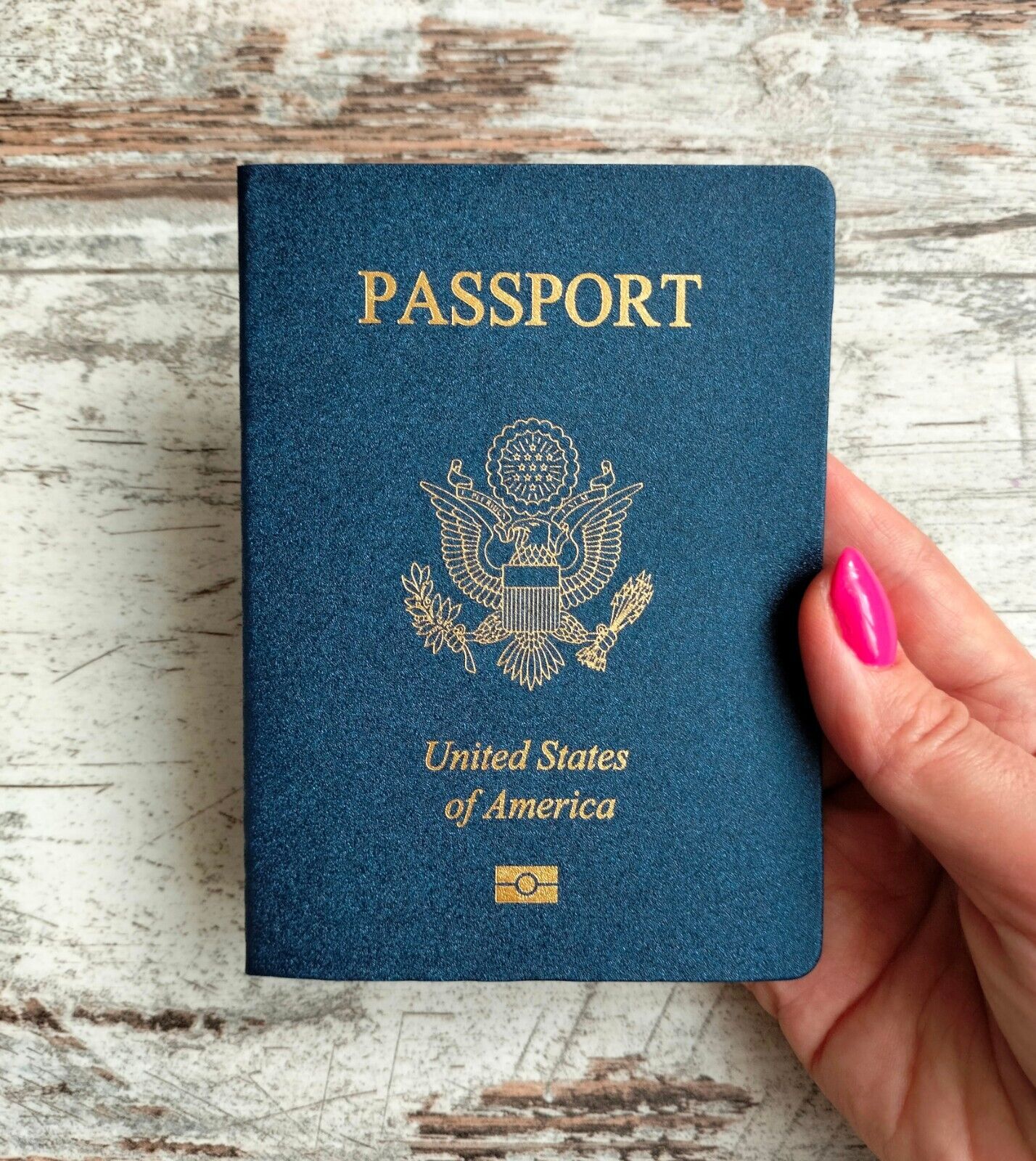Novelty passport USA. Passport notebook. Pet passport. Prop passport. ID prop.