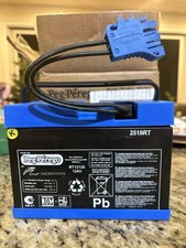 Peg Perego 12V Battery 2519RT