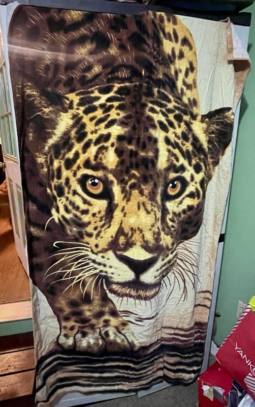 PROWLING LEOPARD Wild BIg Cat Beach Towel Summer [NEW]