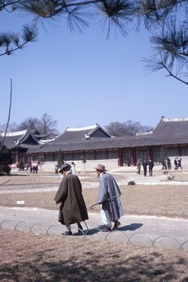 SL33 Slide 1960s Seoul  Korea Palace Traditional Attire Men 102a