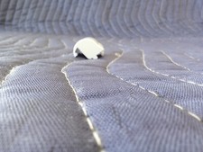 Samsung Refrigerator : Door Flipper End Cap DA67-01650A  P6555 