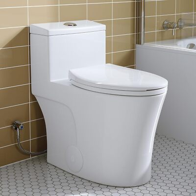 HOROW T0338W One Piece Toilet Elongated Toilet with ADA Chair Height Dual Flush