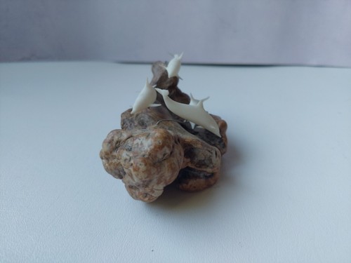John Perry 4 White Dolphins On Burl Wood Sculpture 6" x 3" - Picture 2 of 10