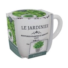 Grow Your Own Parsley Set in Ceramic Pot