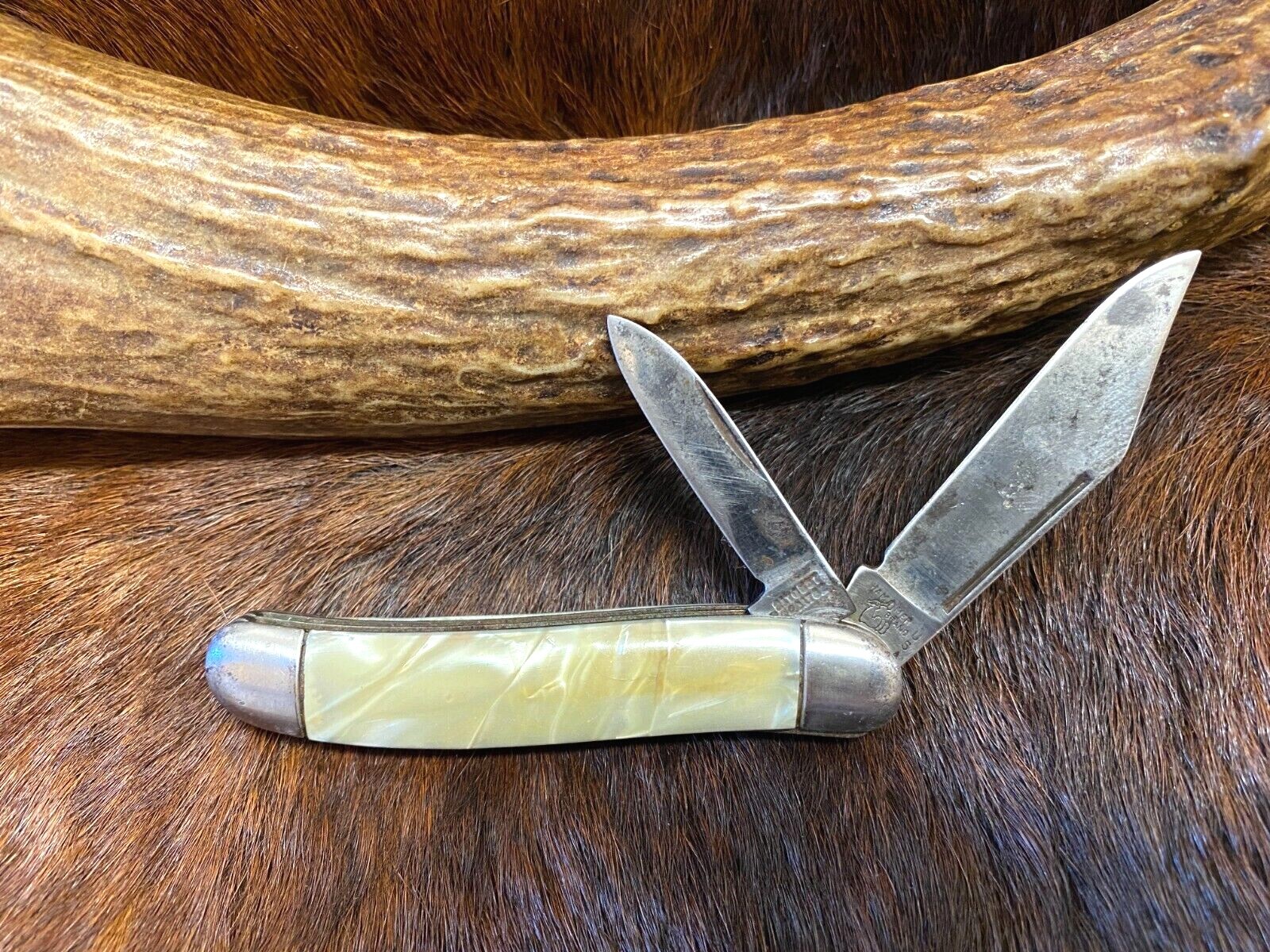 Hammer Brand USA. 2 Blade Jack Knife, 3 1/8", Celluloid Handles, EXC eBay