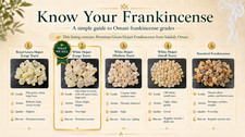 Premium Hojari Frankincense Boswellia Sacra 500g 1.1lb Luban Incense Tears