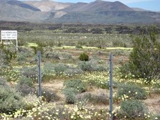 Eastern Sierra 1.13 Acre 395 HWY Turnoff/Frontage with Water Rights INYO County