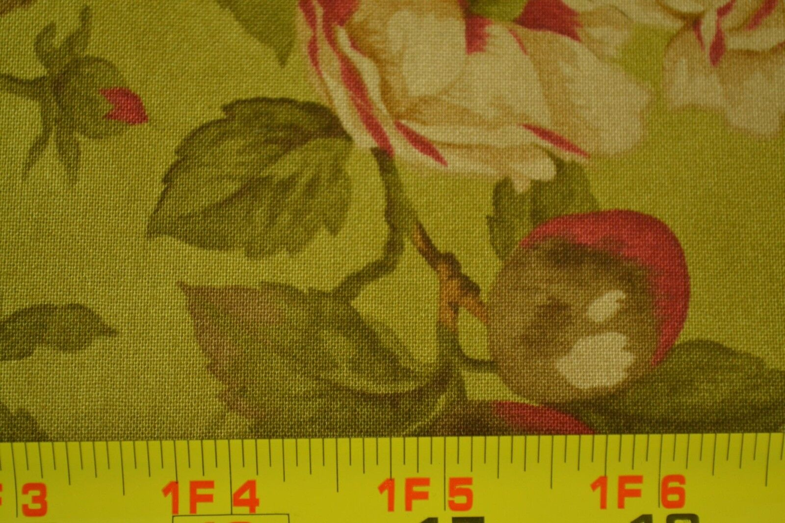Foto 3 di 6