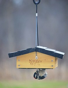 Nature S Way Cwf2 Cedar Upside Down Suet Bird Feeder 849278015015