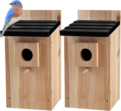 0.5 Inch Thick Blue Bird Box House, Wood Bird Houses for Outside, Hummingbird Ho