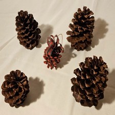 Pinecone Christmas Ornaments Lot of 5 Hanging  Stand Alone