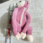 Picture 5 of 22