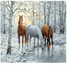 Paint by Numbers Adults Kids Horse Snow Lake Diy Painting Kit 40x50cm Canvas