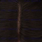 Bild 5 von 7