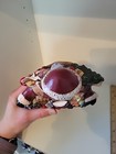 Bild 11 von 15