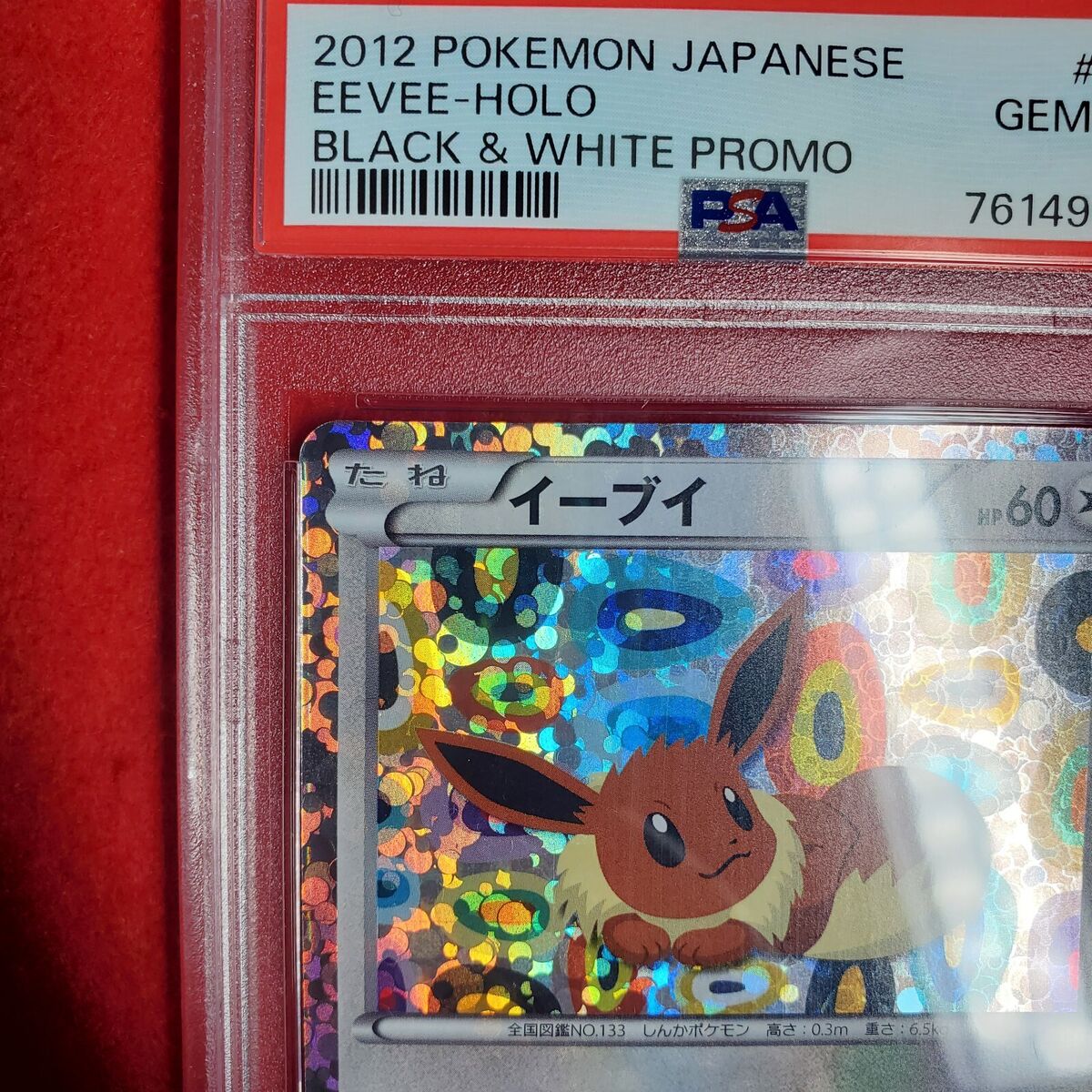 PSA 10 Gem Mint Eevee 189/BW-P Black White holo Promo PSA 10 Gem Mint Eevee 189/BW-P Black White holo Promo