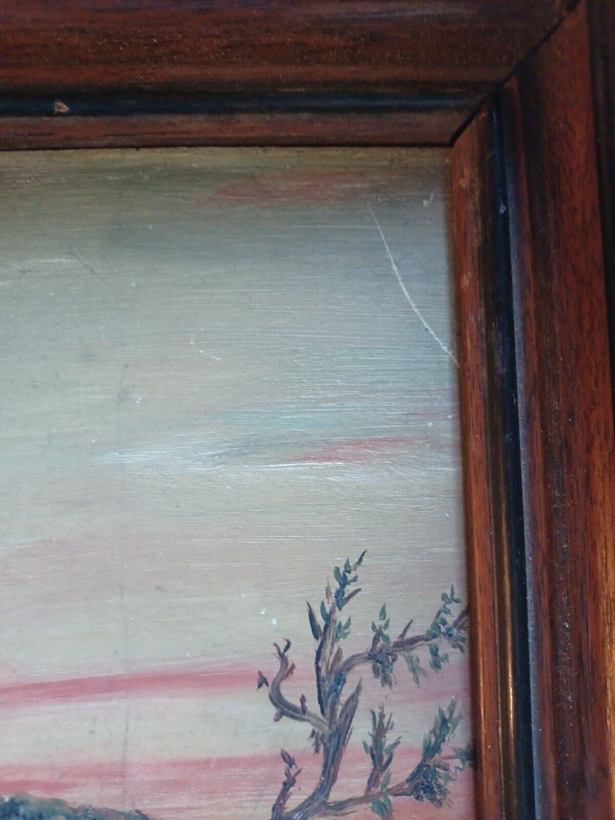 Bild 7 von 12