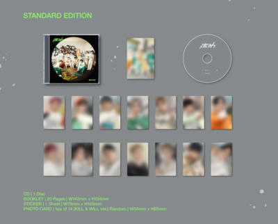 ENHYPEN 定め CD ENHYPEN Japan 1st Album 定め SADAME CD DVD Photo card
