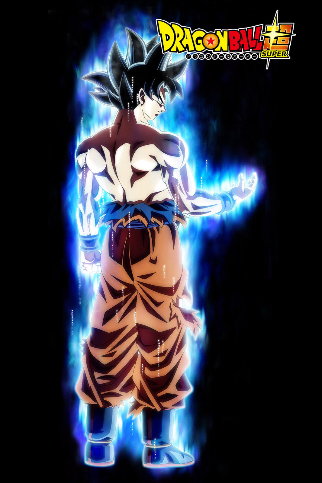 Dragon Ball Z/Super Poster Goku from SSJ to Ultra 12in x 18in Free