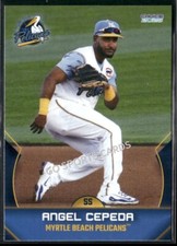 2025 Myrtle Beach Pelicans Angel Cepeda RC Rookie Cubs DR Minor League