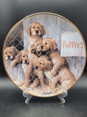 The Franklin Mint dekorativer Teller ASPCA Adopt A Puppy 8'' 20,5 cm Labrador
