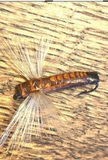 1930&rsquo;s Original Bunyan Bug Missoula Montana &mdash;Norman means